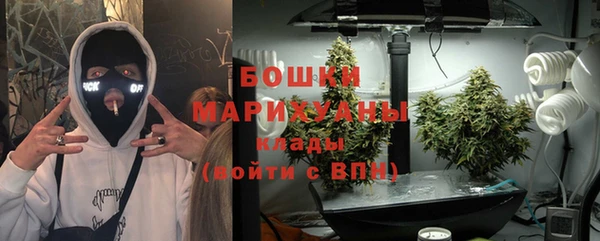 mdpv Богородск