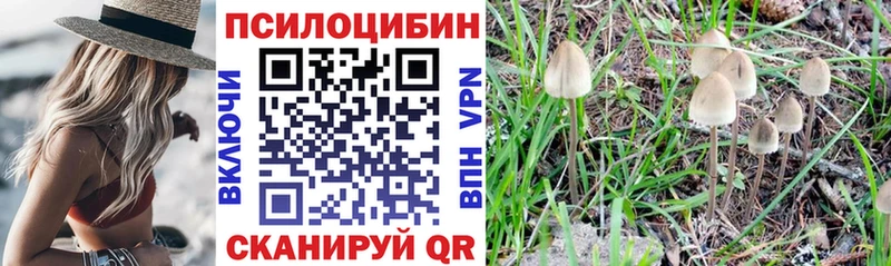 Псилоцибиновые грибы мухоморы Демидов